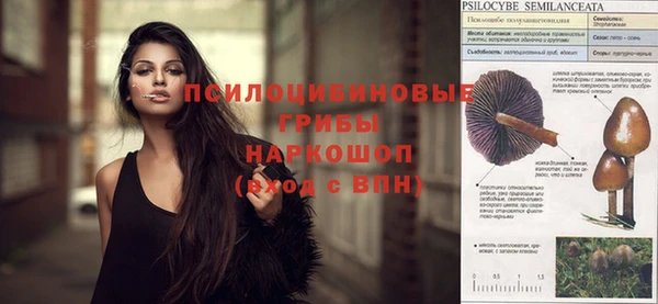 прущие крисы Абаза