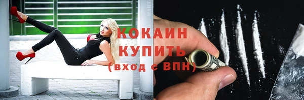 прущие крисы Абаза