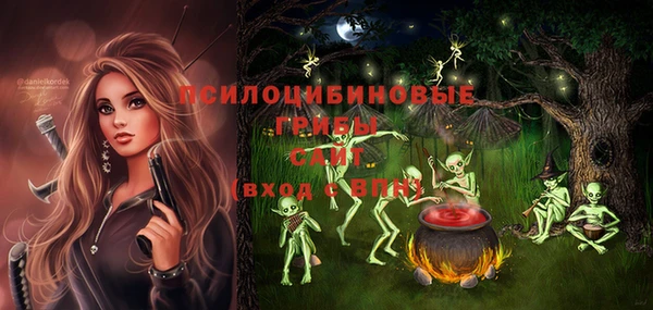 ешки Абинск