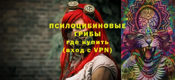 прущие крисы Абаза