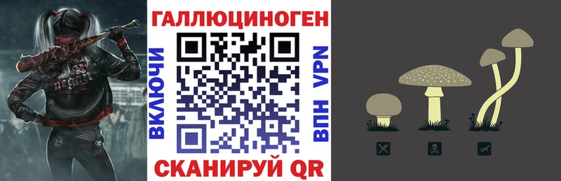 Псилоцибиновые грибы MAGIC MUSHROOMS  маркетплейс какой сайт  Чегем  цены  